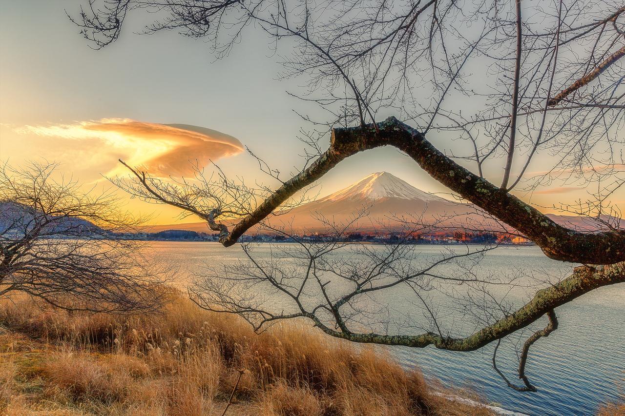 Resort Inn Fushimi Mt Fuji ฟูจิคาวากุจิโกะ ภายนอก รูปภาพ